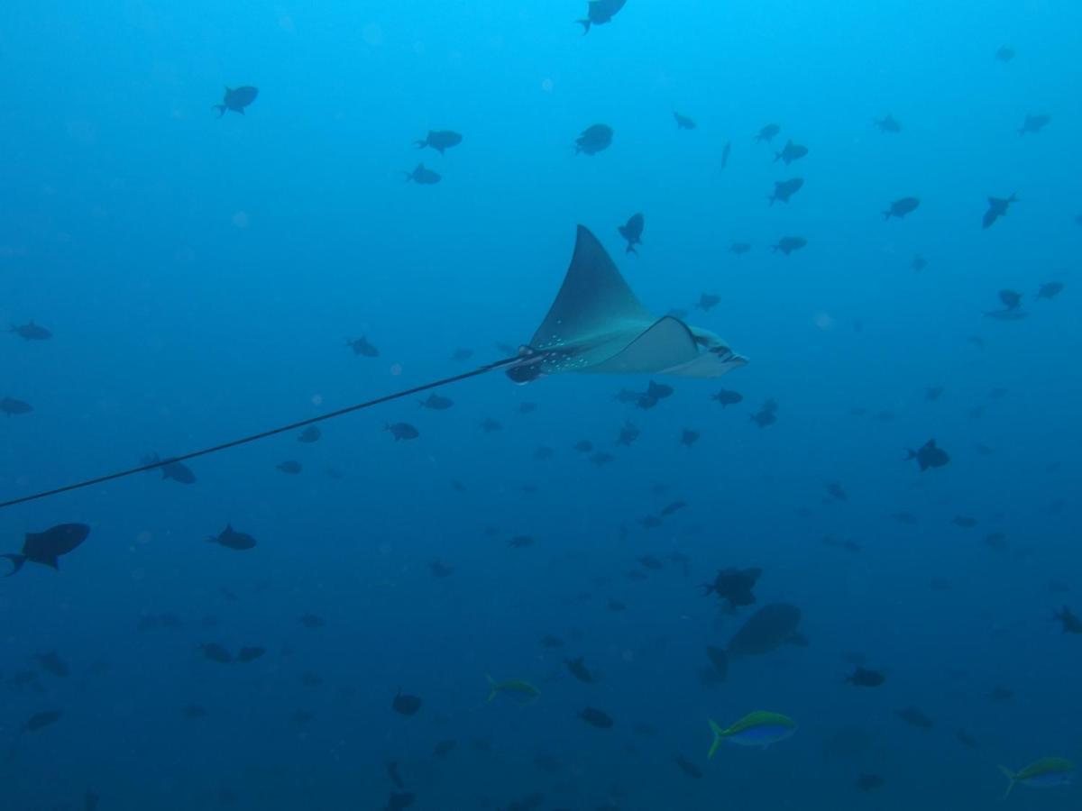 Leaf Fish Guesthouse Maldives Keyodhoo  Eksteriør billede