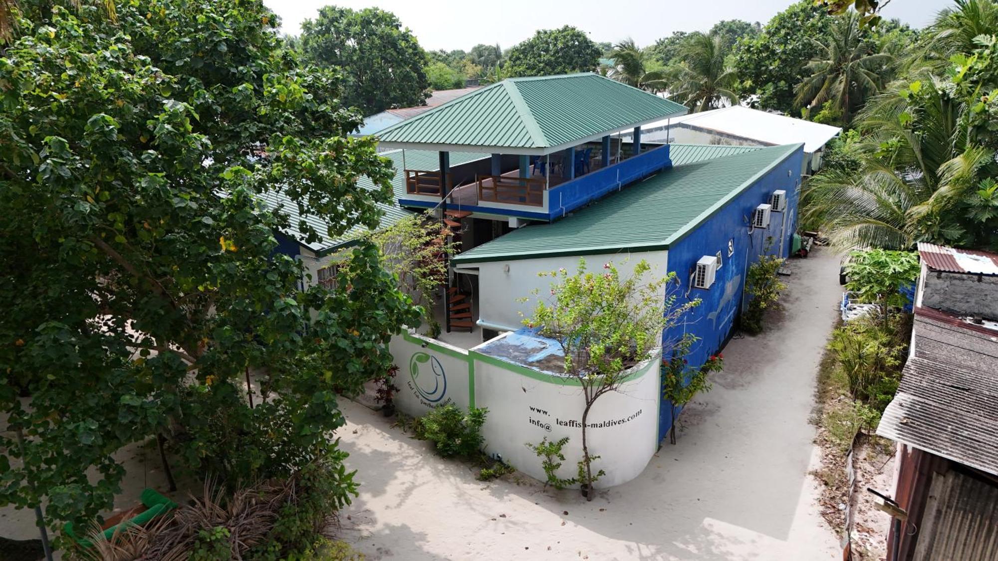 Leaf Fish Guesthouse Maldives Keyodhoo  Eksteriør billede